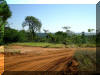 13. bis 18. Mai 2007 Informationsreise der Aussch�sse Landwirtschaft und Forsten sowie Umwelt und Verbraucherschutz des Bayerischen Landtages nach Brasilien